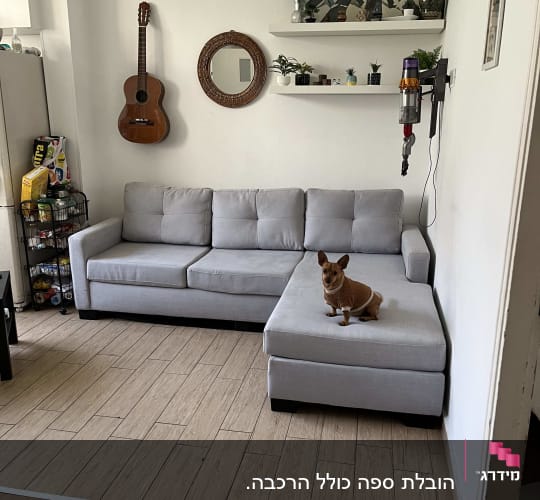 שואב אבק תלוי על הקיר ליד ספה אפורה
